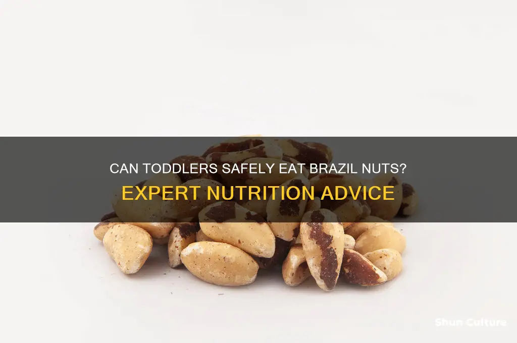 can toddlers eat brazil nuts