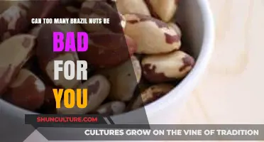 Brazil Nuts: Health Benefits vs. Risks of Overconsumption Explained