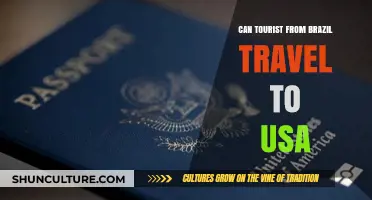 Can Brazilian Tourists Travel to the USA? Visa Requirements Explained