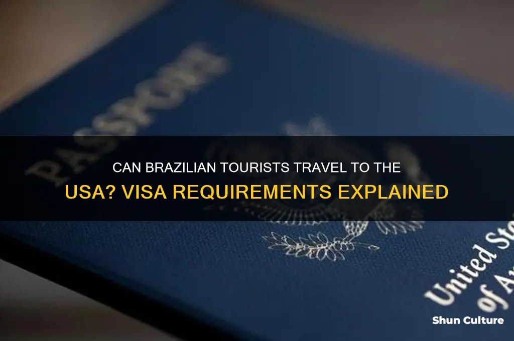 can tourist from brazil travel to usa