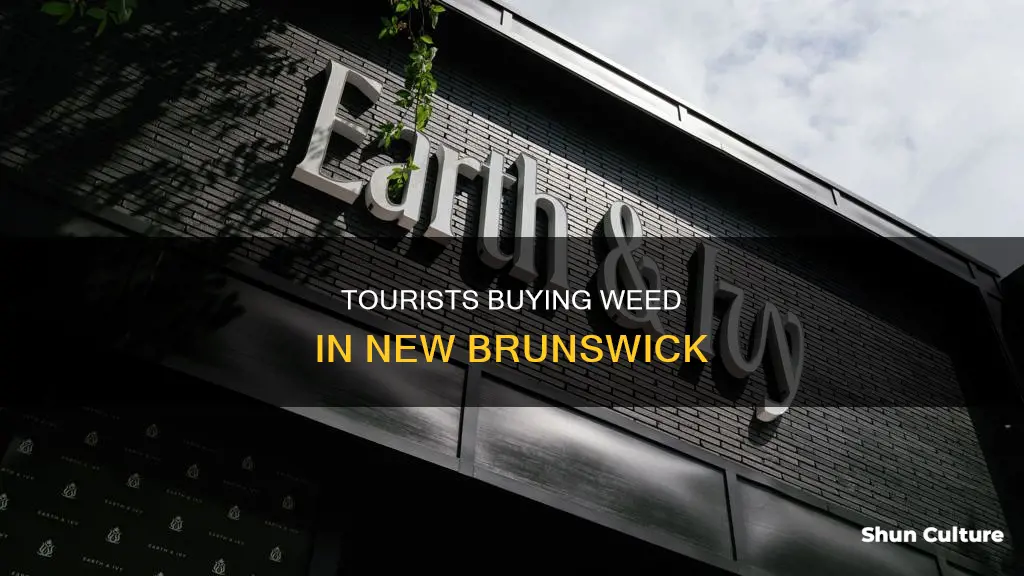 can tourist in new brunswick canada buy recreational weed