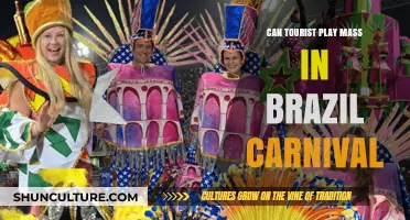 Can Tourists Participate in Brazil's Carnival Mass Celebrations?
