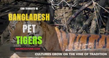 Exploring Bangladesh: Can Tourists Safely Interact with Tigers?