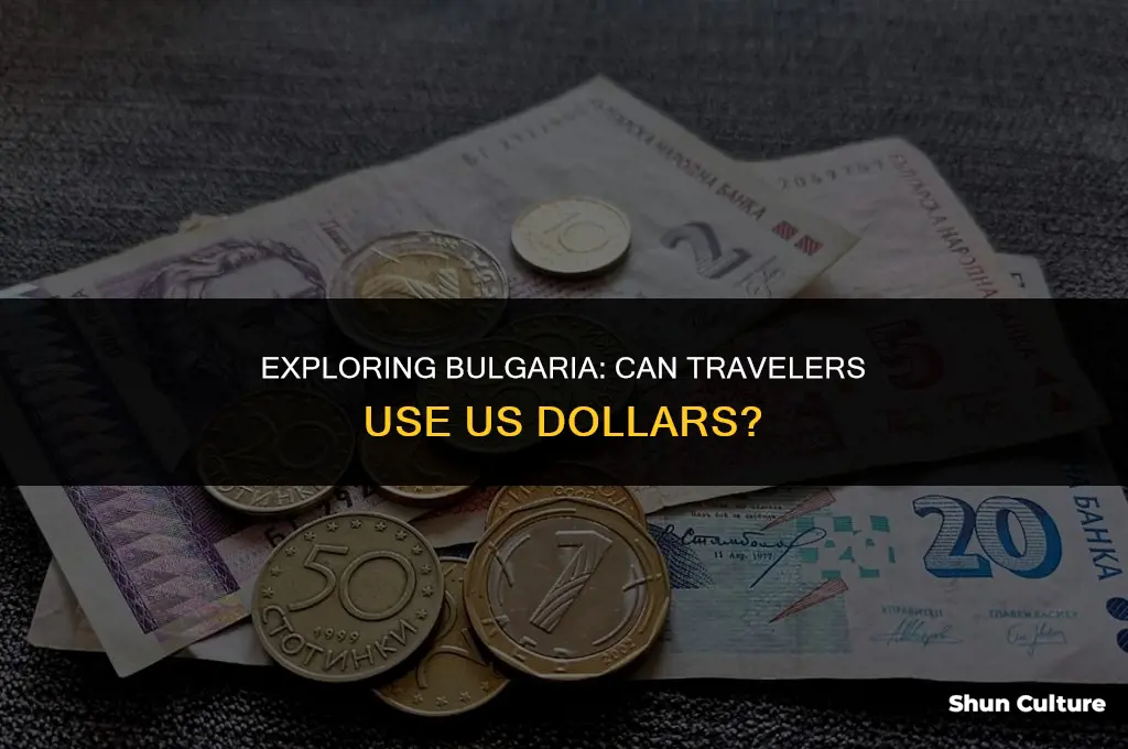 can traver use us dollar in bulgaria