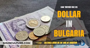 Exploring Currency Exchange: Can Trevor Use US Dollars in Bulgaria?
