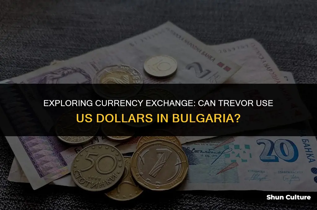 can trevor use us dollar in bulgaria