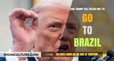 Can Trump Legally Block Pelosi's Brazil Trip? Exploring Presidential Powers