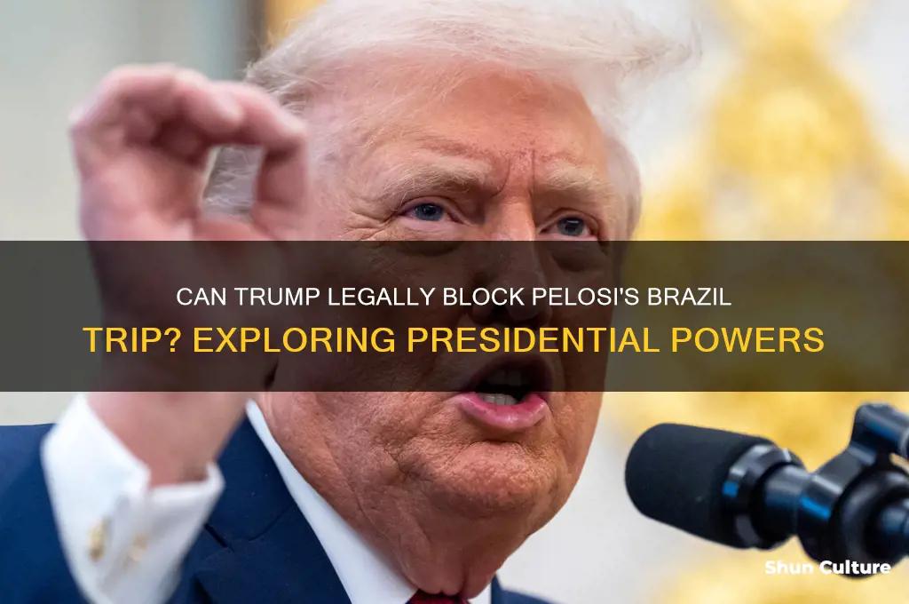 can trump tell pelosi not to go to brazil