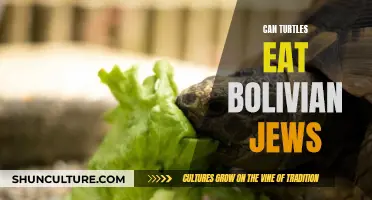 Turtles and Bolivian Jews: A Dietary Exploration