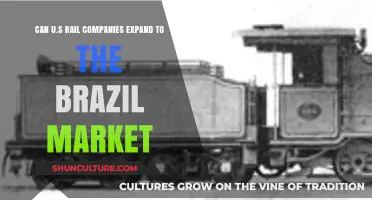 U.S. Rail Companies: Opportunities and Challenges in Brazil's Market Expansion