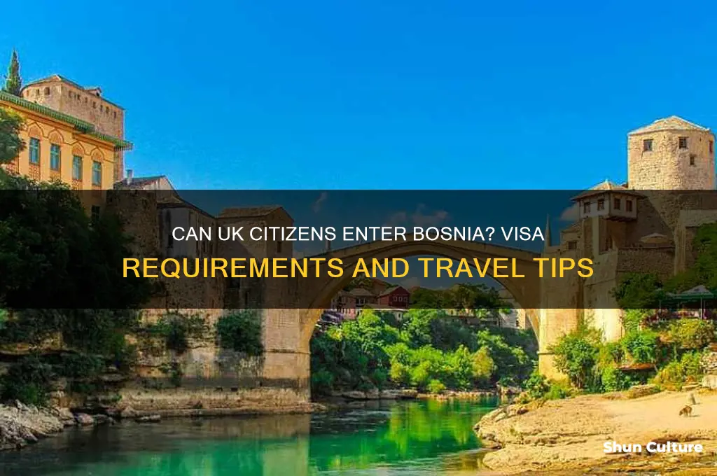 can uk citizens enter bosnia