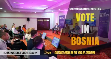 Undeclared Ethnicities in Bosnia: Voting Rights and Political Participation Explained