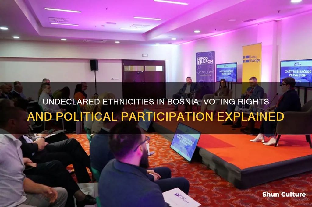 can undeclared ethnicities vote in bosnia