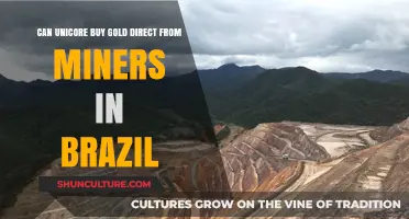 Can Unicore Directly Purchase Gold from Brazilian Miners? Exploring Options