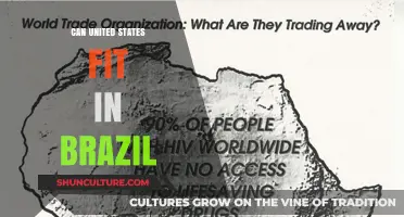 Could the Entire United States Fit Within Brazil's Borders?