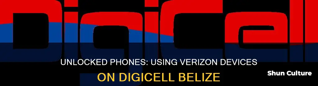 can unlocked verizon phone be used on digicell belize