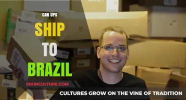 Can UPS Deliver to Brazil? Shipping Options and Considerations