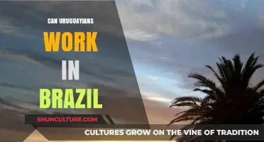 Uruguayans Working in Brazil: Legal Pathways and Opportunities Explained