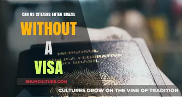 US Citizens Traveling to Brazil: Visa-Free Entry Explained