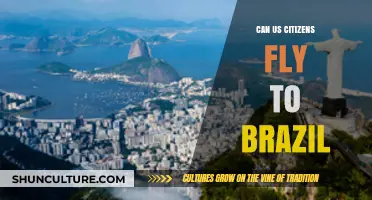 Can US Citizens Fly to Brazil? Travel Requirements Explained