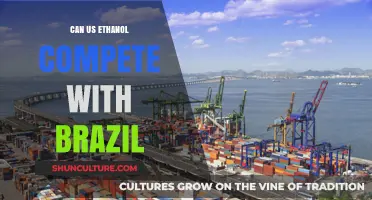 US Ethanol vs. Brazil: A Competitive Analysis of Global Biofuel Markets