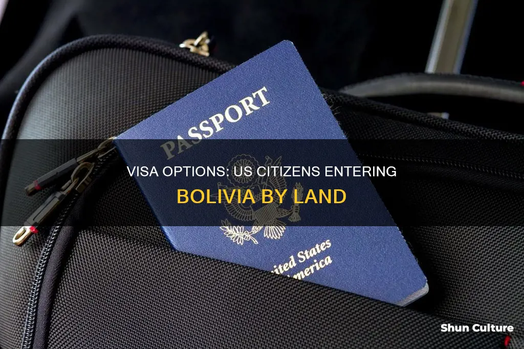 can usa get bolivia visa at the border