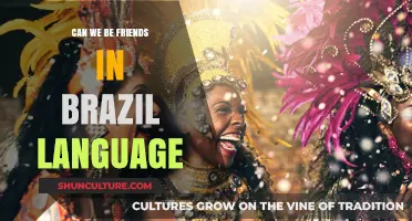 Podemos Ser Amigos? Exploring Friendship in Brazilian Portuguese Culture