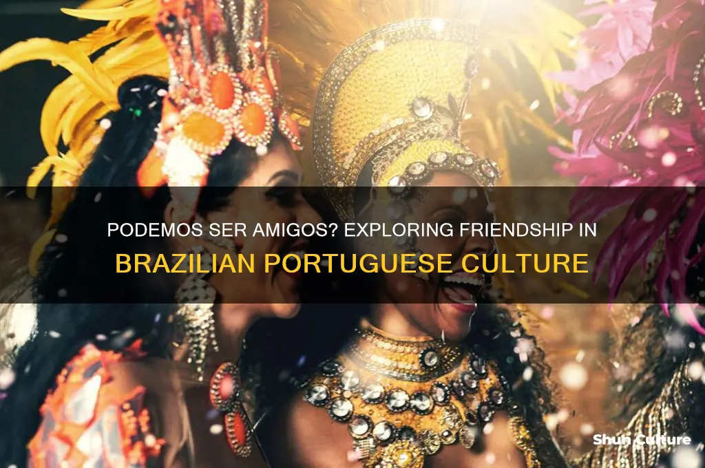 can we be friends in brazil language