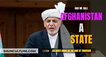 The Elusive Statehood of Afghanistan: Navigating a Complex Political Landscape