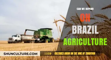 Brazil's Agricultural Dependability: A Sustainable Future or Risky Bet?