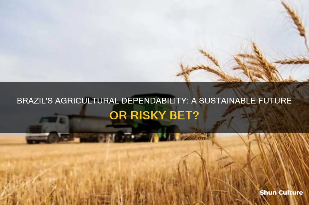 can we depend on brazil agriculture