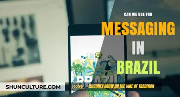 Exploring WhatsApp's Dominance: Can Alternatives Thrive for Messaging in Brazil?