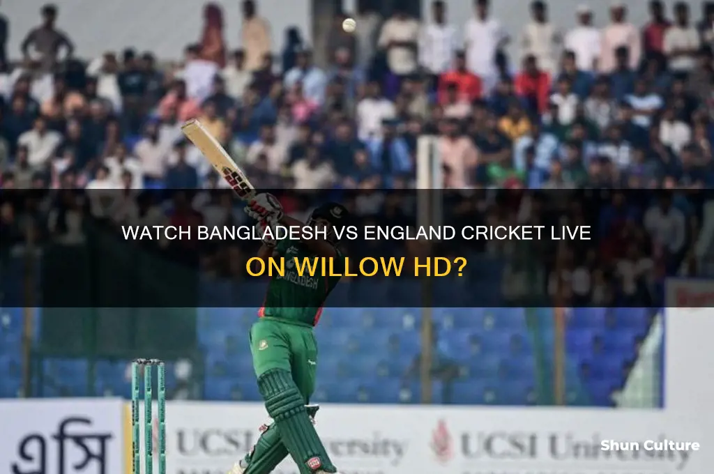 can we watch bangladesh vs england cricket in willow hd