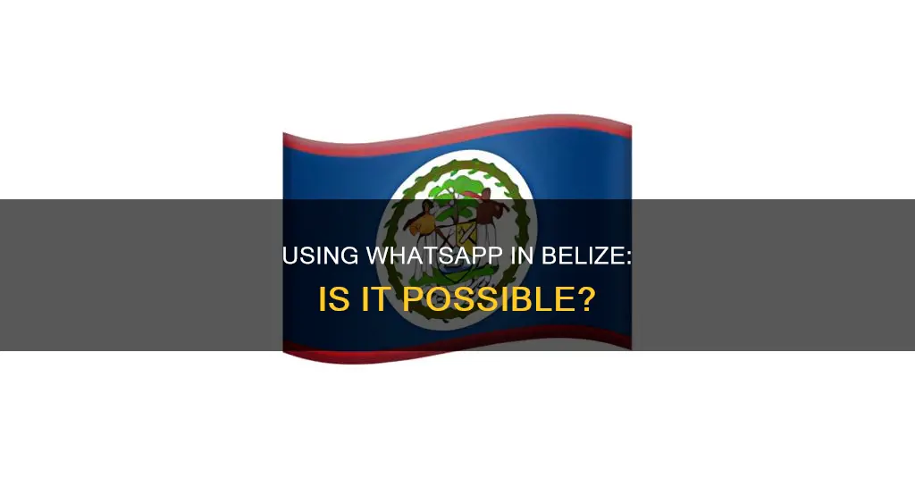 can whatsapp be used from belize