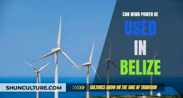 Wind Power Potential in Belize