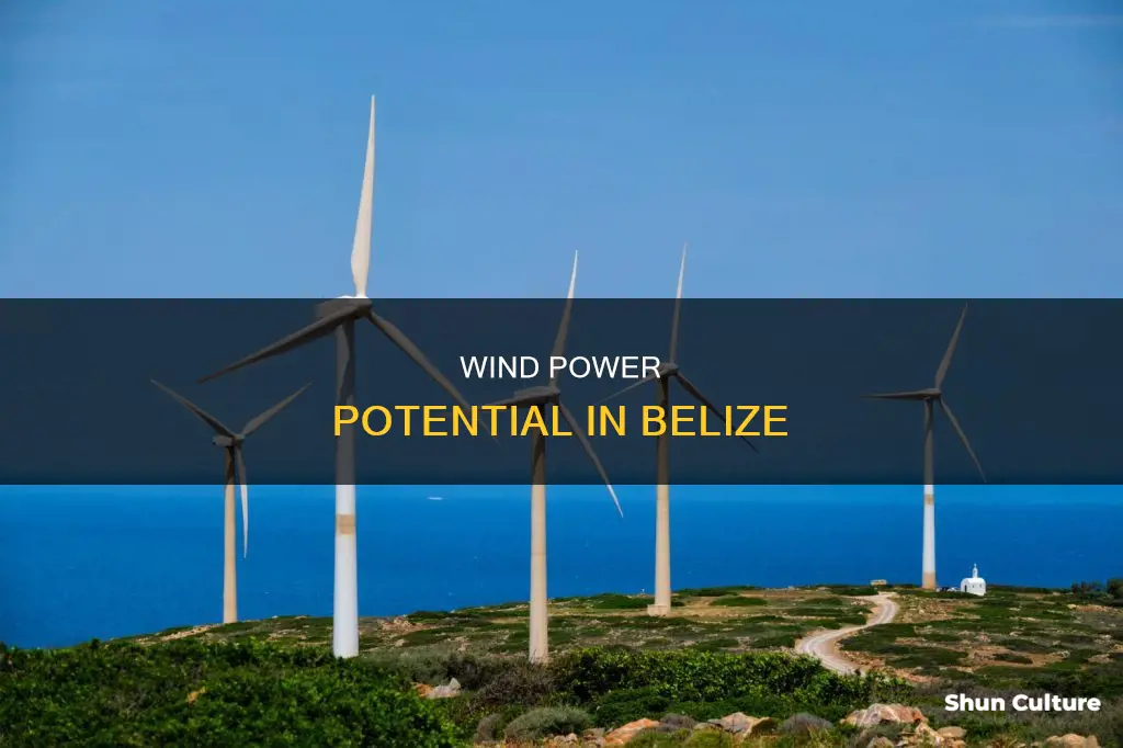 can wind power be used in belize