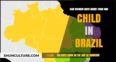 Brazilian Women's Fertility Choices: Exploring Multiple Childbirth Options