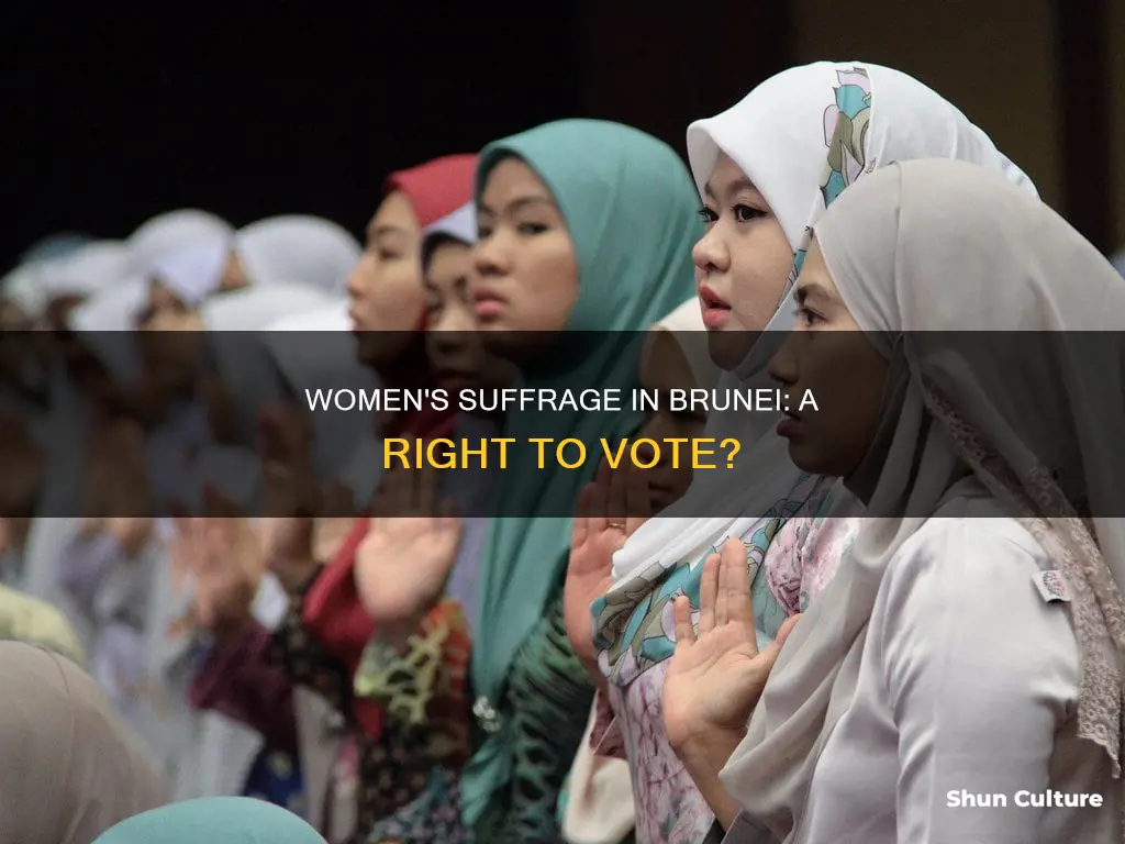 can women vote in brunei