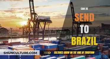 Can Xe Be Shipped to Brazil? A Comprehensive Guide to International Delivery