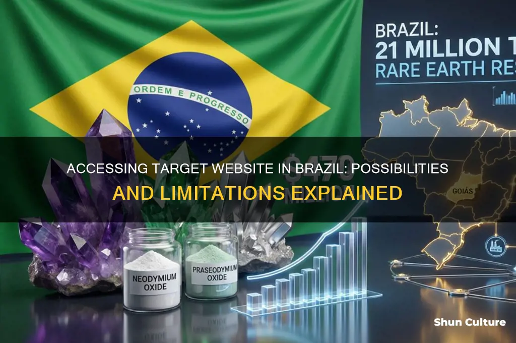 can you access target website in brazil