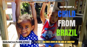 Adopting from Brazil: A Guide to the Process and Requirements