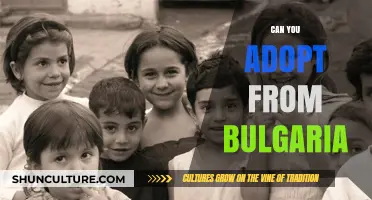 Exploring the Journey of Adoption from Bulgaria: A Comprehensive Guide