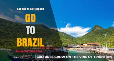 Traveling to Brazil with a Felony: What You Need to Know