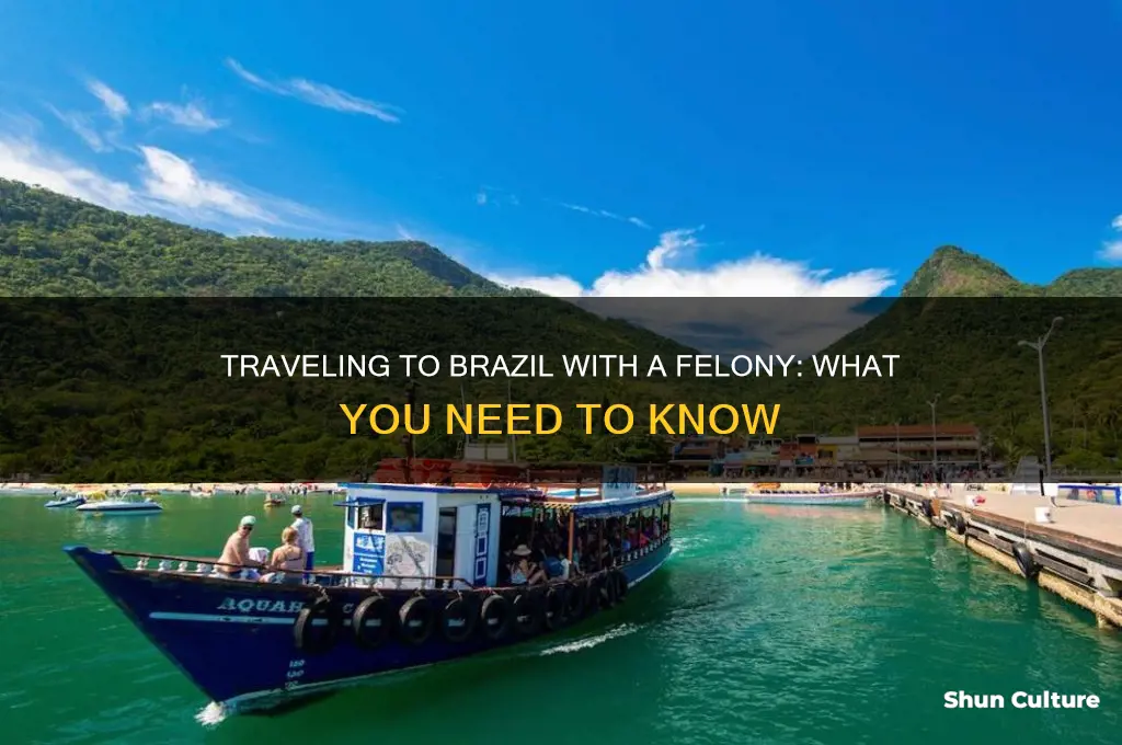 can you be a felon and go to brazil