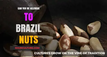 Brazil Nut Allergies: Symptoms, Risks, and Safe Nut Alternatives