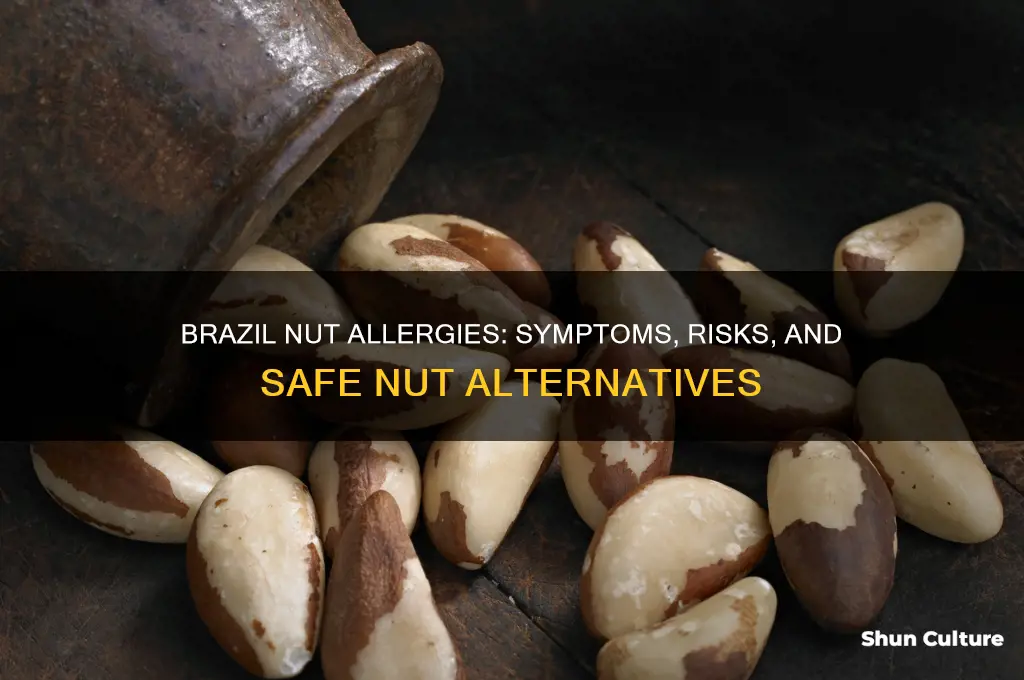 can you be allergic to brazil nuts