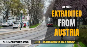 Extradition Treaties: Austria's Laws and Your Rights