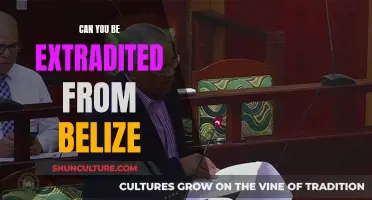 Extradition Treaties: Can You Be Extradited from Belize?