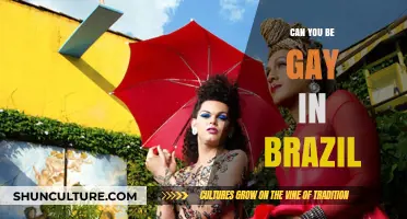 Exploring LGBTQ+ Life and Acceptance in Brazil: Can You Be Gay?
