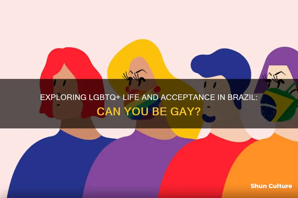 can you be gay in brazil